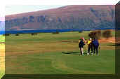 thumb 9910 1 11 craignure golf course.jpg (2036 bytes)