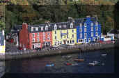 thumb 9910 1 18 tobermory.jpg (2497 bytes)