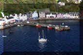 thumb 9910 1 19 tobermory.jpg (2356 bytes)